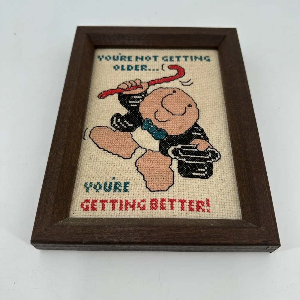 Vintage‎ Cross Stitch Ziggy Frame Wall Art Humor Birthday Gift Zigurat